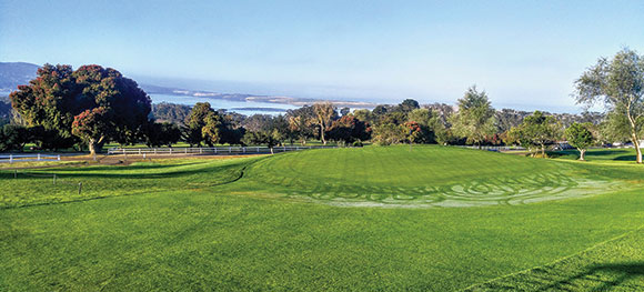 Arizona Golfer News
